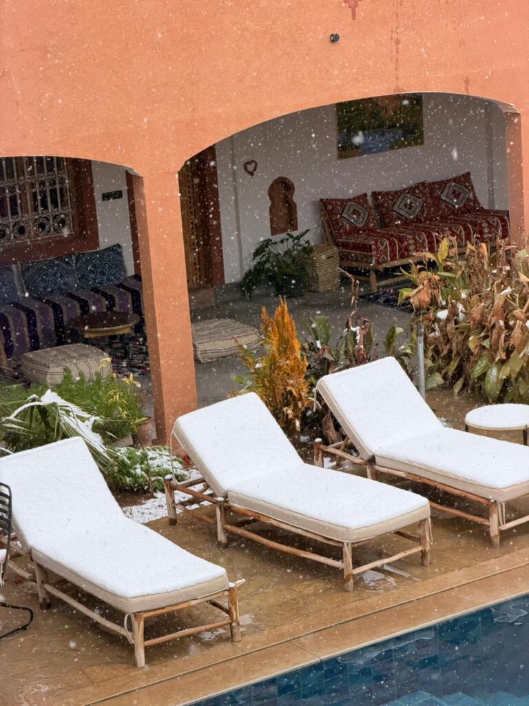 WhatsApp Image 2026-01-29 at 16.21.24 (3)