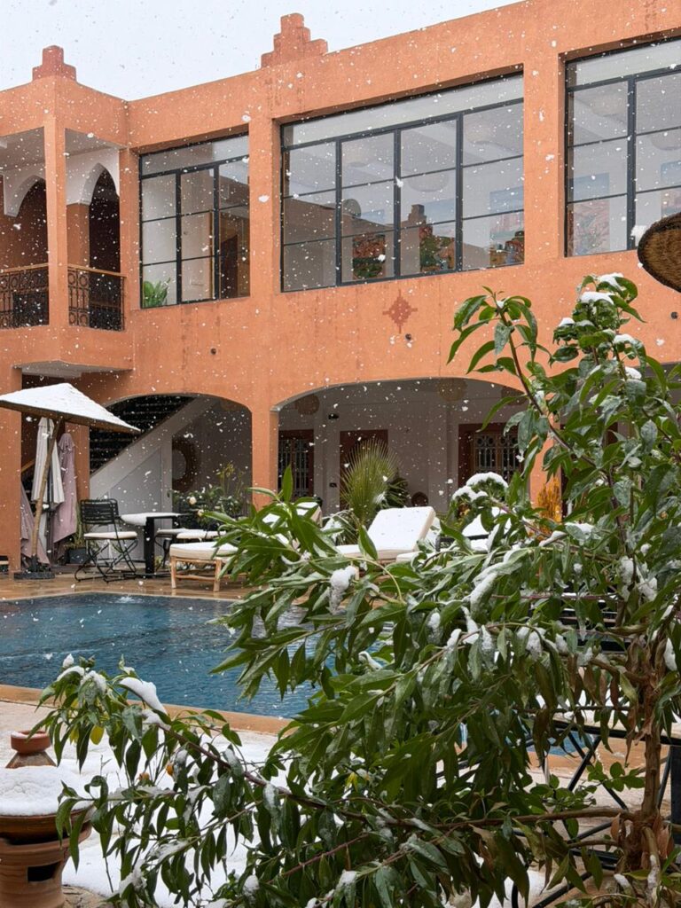 WhatsApp Image 2026-01-29 at 16.21.24 (4)